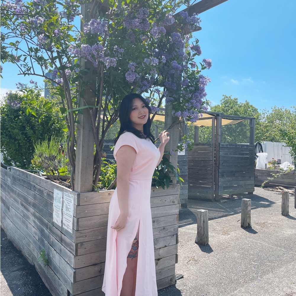 Aritzia Babaton Midi/Maxi Pink Dress - Size 8